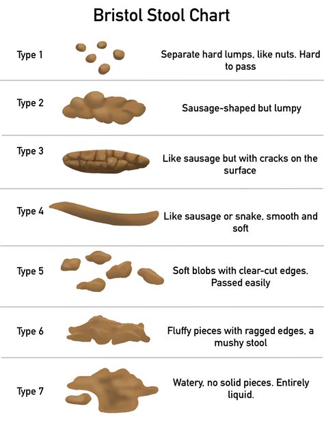 Taikyti Du laipsniai Vartotojas bristol stool chart type 6 Prabangus ...