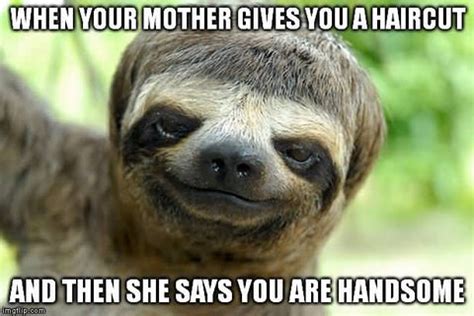 13+ Cute Sloth Memes for Your Absolute Enjoyment – Happy Sloth Co.