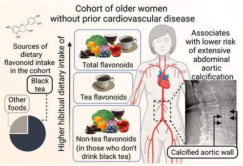 Flavonoid-Rich Diet May Lower Cardiovascular Risks in Older Women | Sci ...