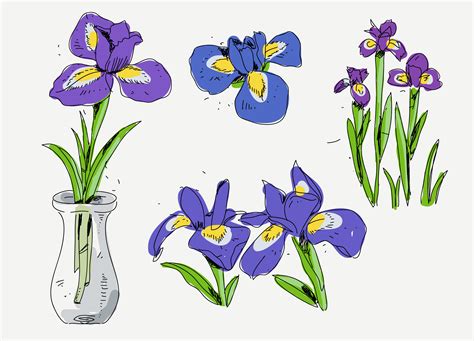 Iris Flower Hand Drawn Sketch vector illustration 206304 Vector Art at ...