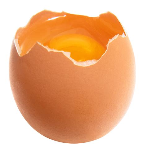 Chicken Egg Yolk - Broken Egg png download - 1350*1400 - Free ...