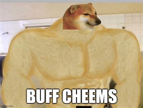 Buff Doge - Imgflip