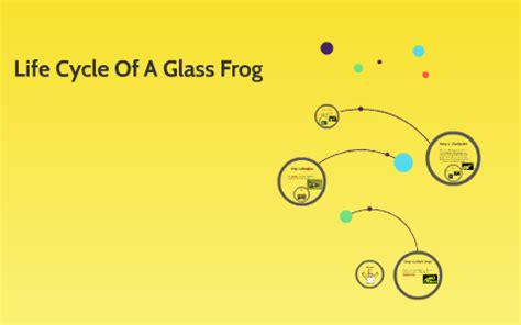 Life Cycle Of A Glass Frog by jennavi hoisington on Prezi