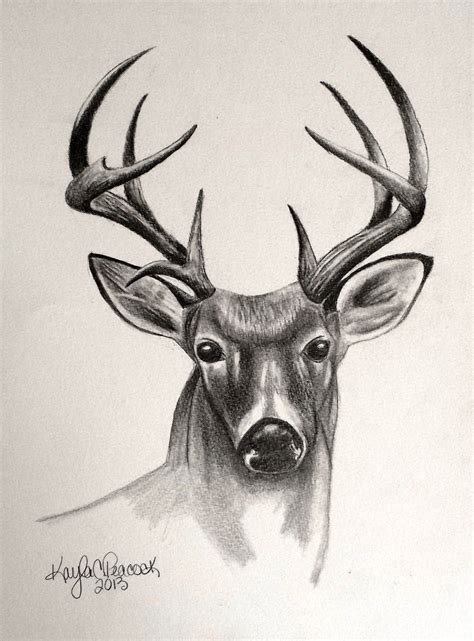 deer sketch - Google Search | Deer drawing, Deer drawing easy, Deer sketch