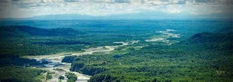 Congo Basin – Rainforest Trust