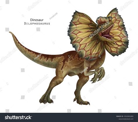 Dilophosaurus Royalty-Free Images, Stock Photos & Pictures | Shutterstock