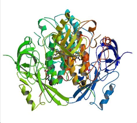 3D view of tyrosine kinase HCK receptor (PDB ID: 2HCK) | Download ...