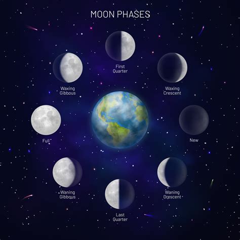 Phases Of The Moon Google Calendar - Tally Felicity