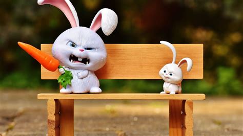 Bunny Wallpaper Cartoon