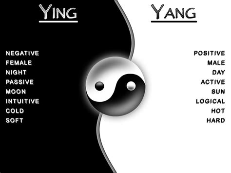 Yin Yang - Factory Direct Jewelry