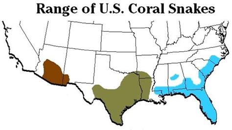 Coral Snake. Many Habitat in US ~ KIND OF SNAKE