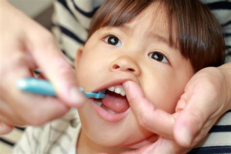 When to Start Brushing Baby Teeth | ABQ Pediatric Dentistry