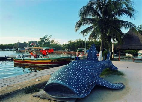 Qué hacer en Holbox: 10 cosas imprescindibles en la isla del buen rollo