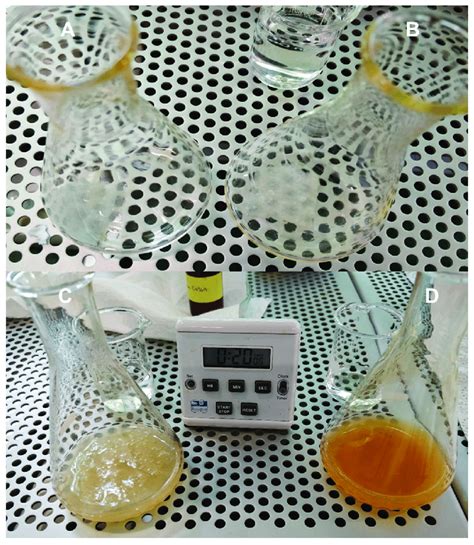 Differences between a type I Fenton reaction and a type II Fenton ...