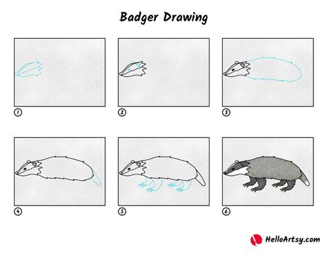 Badger Drawing - HelloArtsy