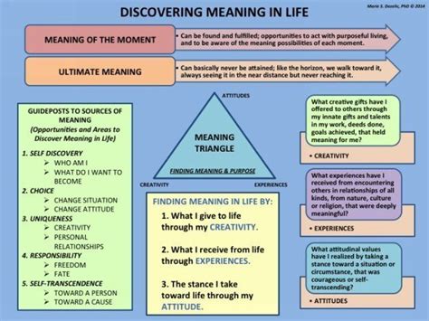 Meaning-Centered Therapy Workbook: Based on Viktor Frankl's Logotherapy ...