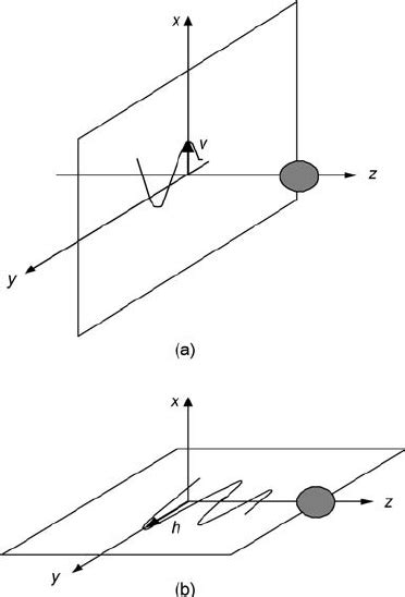 Linear photon polarization. (a) Vertical polarization, the polarization ...