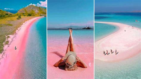 Serunya Berkunjung ke Pink Beach di Pulau Komodo NTT