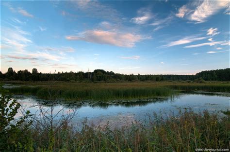 Beautiful scenery of Bryansk oblast · Russia Travel Blog