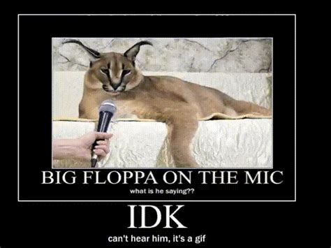 funny gif | Big Floppa | Know Your Meme