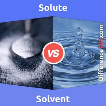 Solute vs. Solvent: 5 Key Differences, Pros & Cons, Examples ...