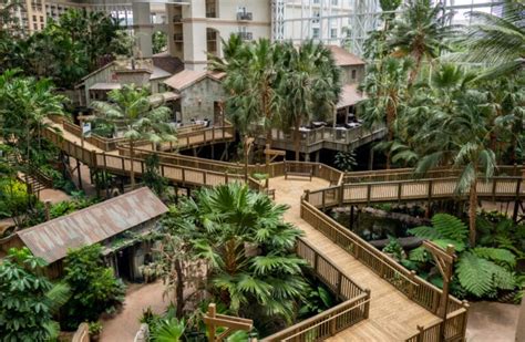 6 Things To Do At Gaylord Palms Orlando Resort