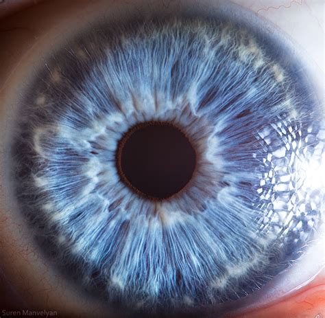 'Your Beautiful Eyes' - Amazing Close-Up Photos Of Human Eyes By Suren ...