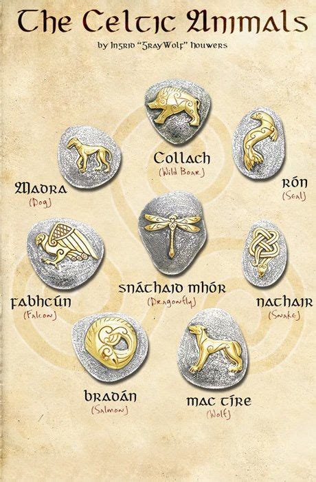 The Celtic Animals | Celtic animals, Irish mythology, Celtic