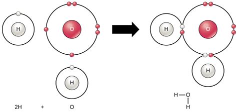 Chemical Reactions and Molecules | Biology for Majors I