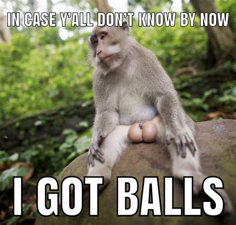 Monkey balls | /r/okbuddyretard | OkBuddyRetard | Know Your Meme