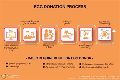 Egg Donation Process- The Definitive Guide for IVF Egg Donor