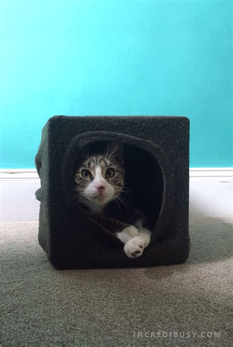 DIY cat cave made from an old sweater - Easy five minute craft