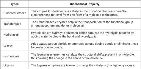 [Solved] Explain the concept of enzyme nomenclature and classification ...