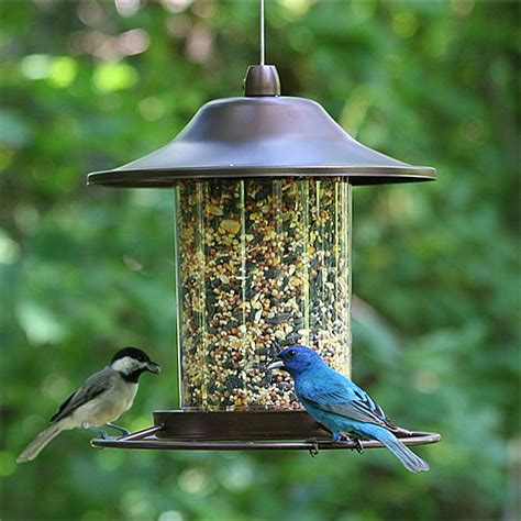 Small Panorama Bird Feeder, Decorative Bird Feeders For Backyard Birds ...