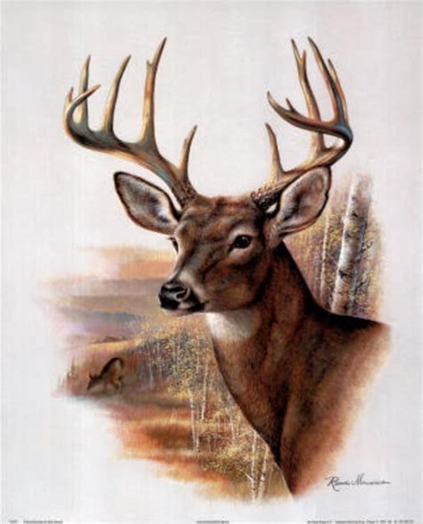 Ruane Manning (Fall Splendor Deer) Art Poster Print Poster - 13x19 ...