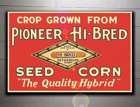 Pioneer Seed Corn for sale | Only 3 left at -65%