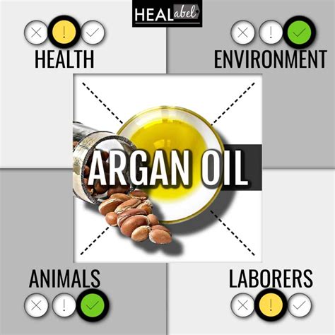 Argan Oil Benefits + Side Effects