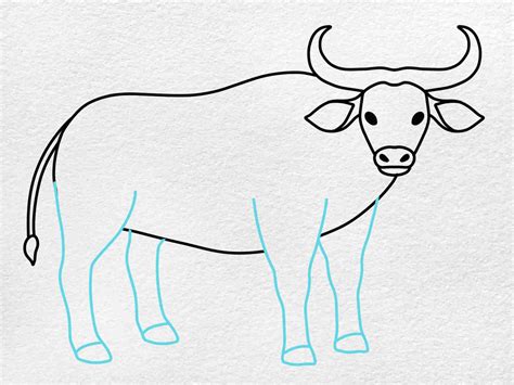 How to Draw an Ox - HelloArtsy