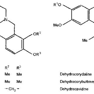 (PDF) Alkaloid production by somatic embryo cultures of Corydalis ambigua