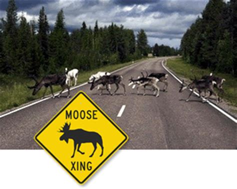 Animal Crossing Signs