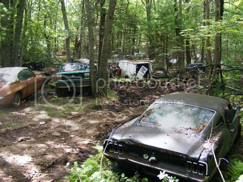 Mustang junkyard... such a sad sight... - Forums at Modded Mustangs