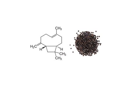 The Health Benefits of Caryophyllene: A Closer Look