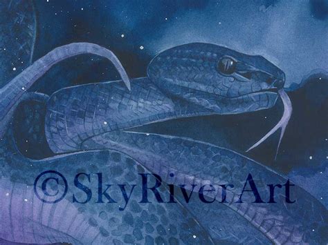 SNAKE SPIRIT ANIMAL Shamanic Fine Art Print A4 | Etsy