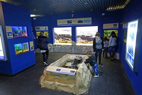 Museo de Ciencias Naturales - Mar del Plata