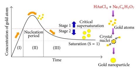 Schematic illustration of synthesis mechanism of gold nanoparticles ...