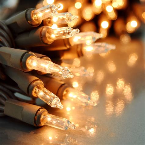 50 Count Clear Stringlight Set - Brown Wire