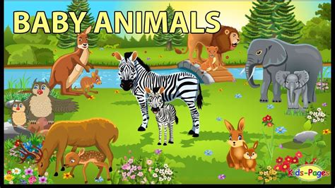 Baby Animals Pictures For Kids