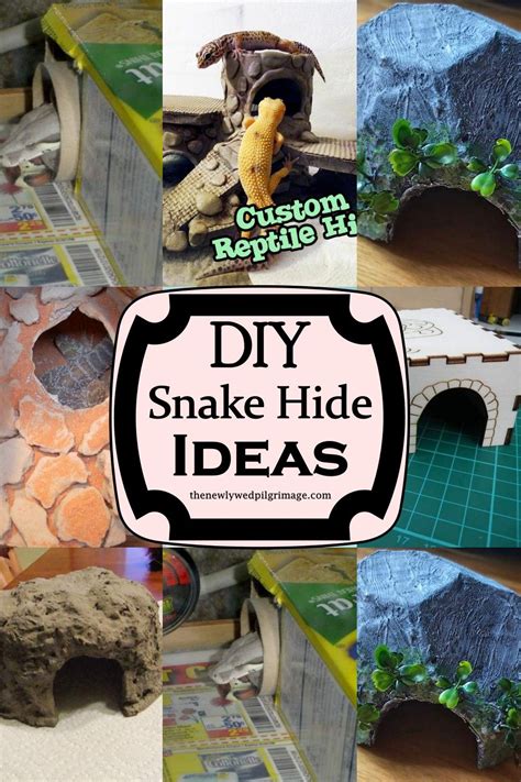 Diy Reptile, Reptile Pets, Reptile Decor, Reptile Hide, Reptile Habitat ...