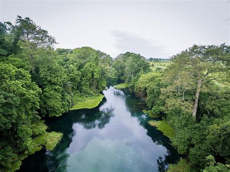 The Biggest Rainforests In The World And How To Visit Them - WorldAtlas