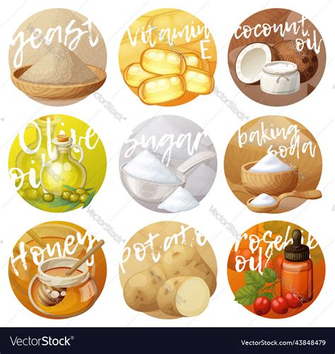 Facial mask ingredients for home face skin care Vector Image